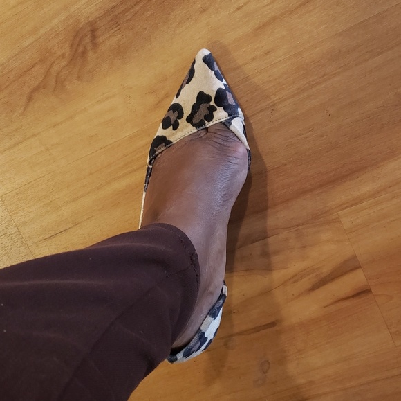 Leopard Pumps - Picture 1 of 5